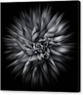 Black And White Flower Flow No 5 Canvas Print