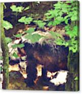 Black Bear In Woods Canvas Print