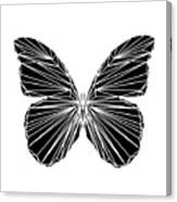 Black Butterfly Canvas Print