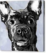Black Chihuahua Dog Portrait Canvas Print