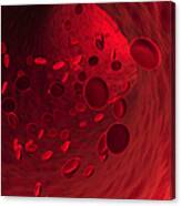 Blood Cells Xxxl Canvas Print