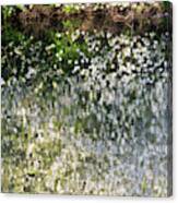 Blossom Reflections In A River In Spring - Portrait Canvas Print