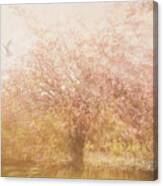 Blossom Tree Canvas Print