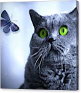 Blue And The Butterfly Canvas Print