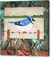 Blue Bird Canvas Print