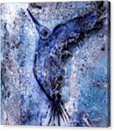 Blue Hummingbird Canvas Print