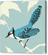 Blue Jay Bird Sitting On Branch Canvas Print