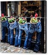 Blue Jeans Canvas Print