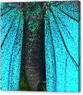 Blue Mountain Swallowtail Papilio Canvas Print