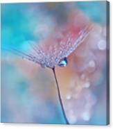 Blue Rain.. Canvas Print