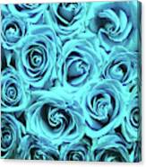 Blue Roses Canvas Print