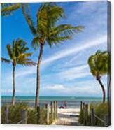 Blue Sky With White Sand And Palm Beach Canvas Print