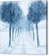 Blue Tree Avenue Canvas Print