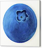 Blueberry Canvas Print