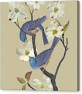 Bluebirds In Dogwood Tree Canvas Print