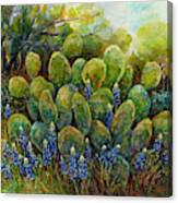 Bluebonnets And Cactus 2 Canvas Print