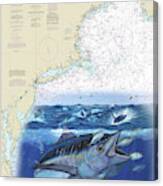 Bluefin Tuna Chart Canvas Print