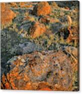 Book Cliffs Sunset Canvas Print