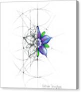 Intuitive Geometry Borage Flower Canvas Print