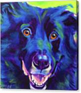 Border Collie - Viktor Canvas Print