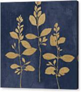 Botanical Study Iv Gold Navy Canvas Print