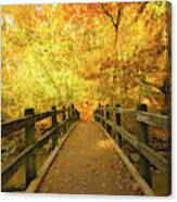 Bridge Over Troubled Waters In Fall Canvas Print