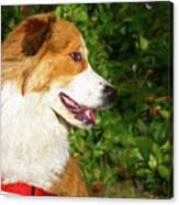Brown And White Happy Dog Painting Canvas Print