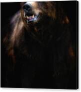 Brown Bear Portrait Canvas Print
