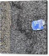#budlitter And Two Types Of Asphalt Aggregate Canvas Print