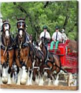 Budweiser Clydesdales Hitch Canvas Print