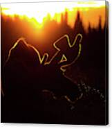Bull Moose Sunrise Canvas Print