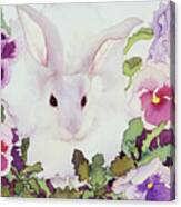 Bunny With Pansies Canvas Print