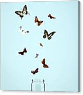 Butterflies Escaping From Jar Canvas Print