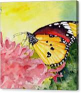 Butterfly 190219 Canvas Print