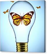 Butterfly In A Lightbulb Canvas Print