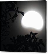 By The Light Of A Partial Moon Canvas Print