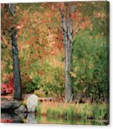 By The Pond Canvas Print