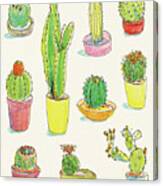 Cacti Garden I Canvas Print