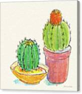 Cacti Garden Iii Canvas Print