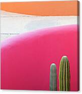 Cactus Against Pink Wall Canvas Print