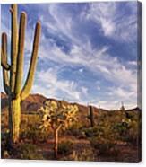 Poster Jardim De Cactus Caquetado Em Pote