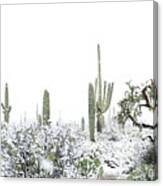 Cactus In The Snow Canvas Print