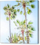 California Dreaming Palm Trees Canvas Print