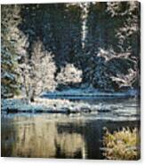 Calm Lake Environment In Winter Canvas Print