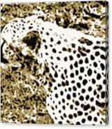 Camo Cheetah Canvas Print