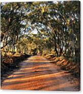 Canny Road Canvas Print