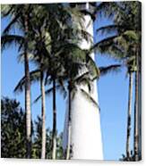 Cape Florida Lighthouse - Key Biscayne, Miami Canvas Print