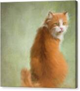 Caramel The Tabby Cat Canvas Print
