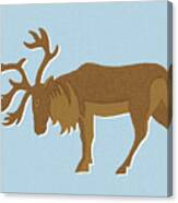 Caribou Canvas Print