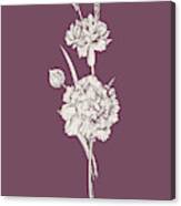 Carnation Purple Flower Canvas Print
